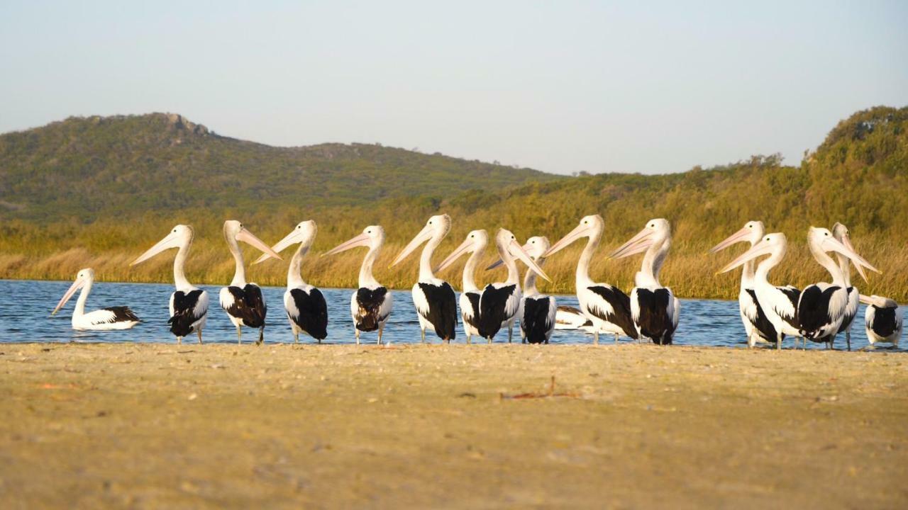 Castaways Moreton Island Bulwer Luaran gambar